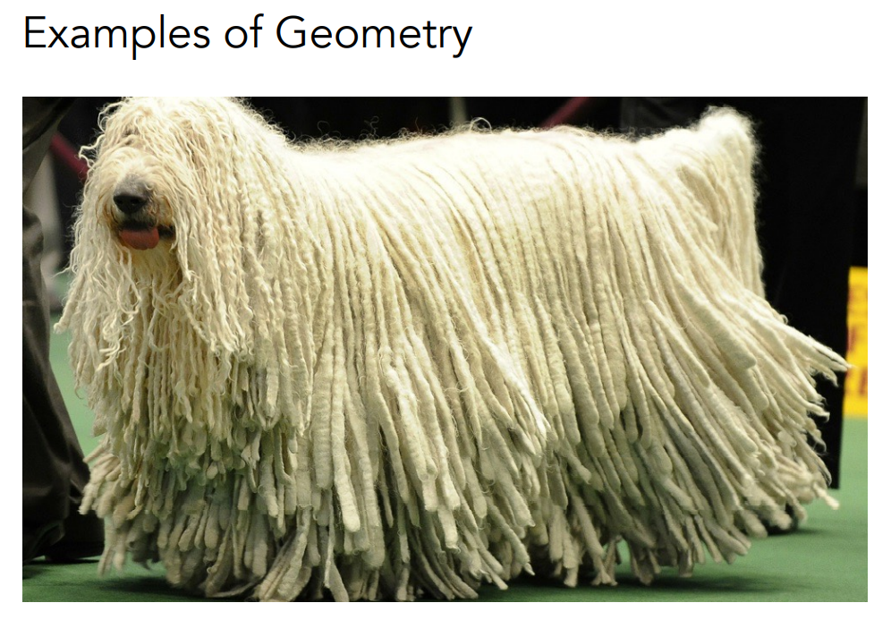 image-20221002102702633