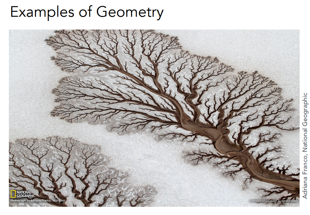 image-20221002102759869