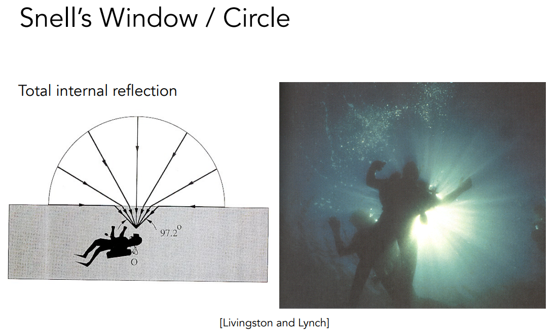 image-20221010221723603