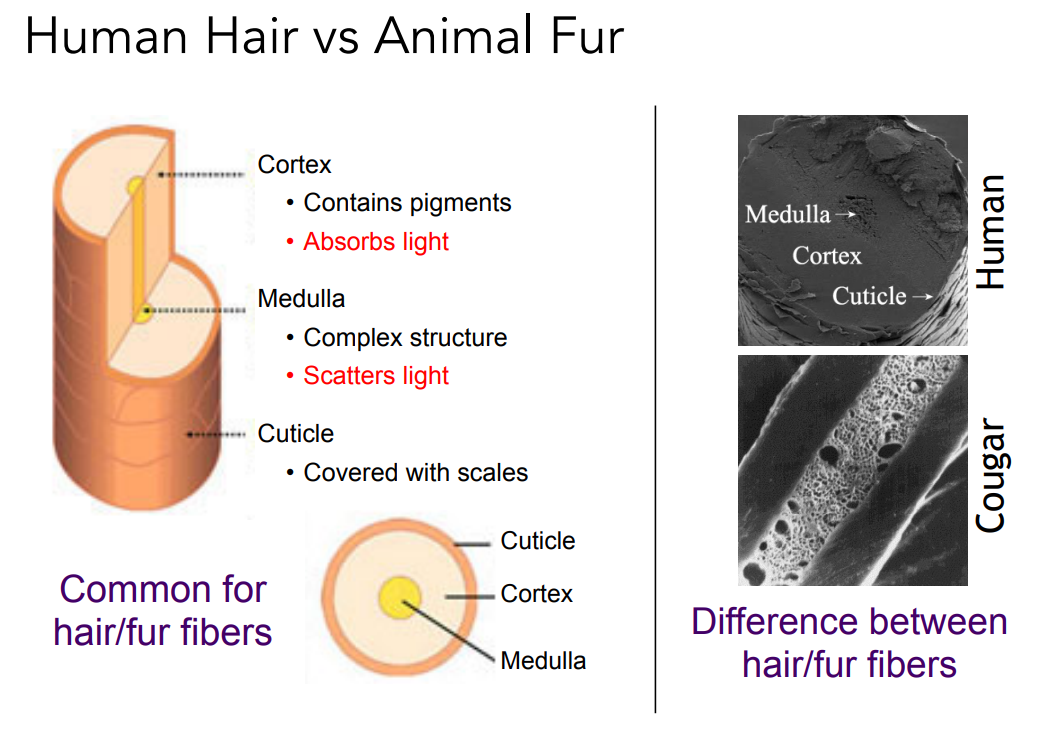 image-20221015103153485