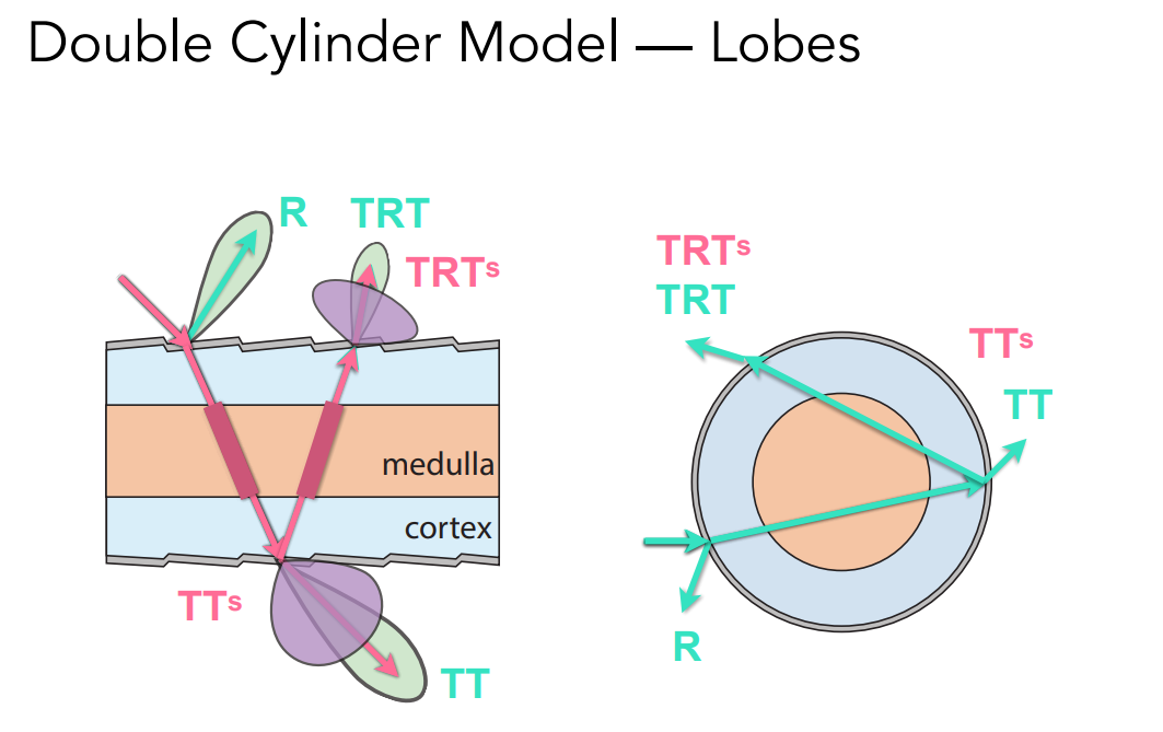 image-20221015103334689