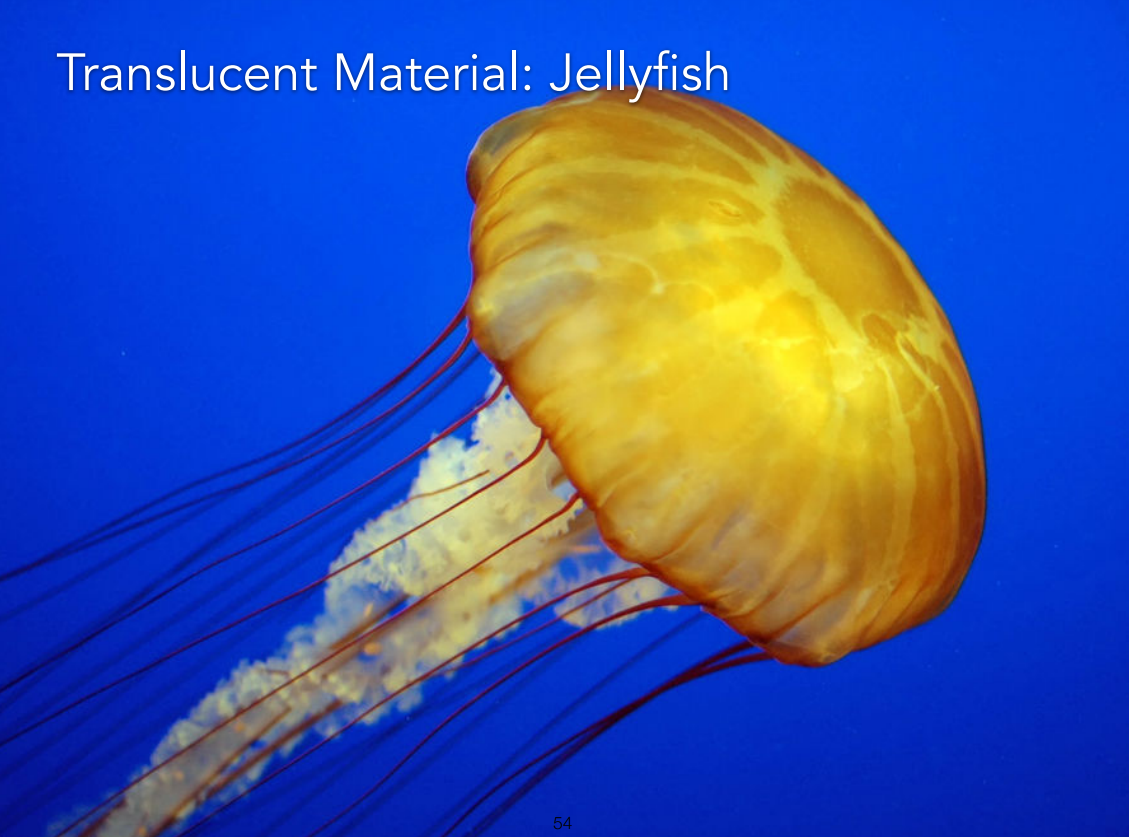 image-20221015103754728