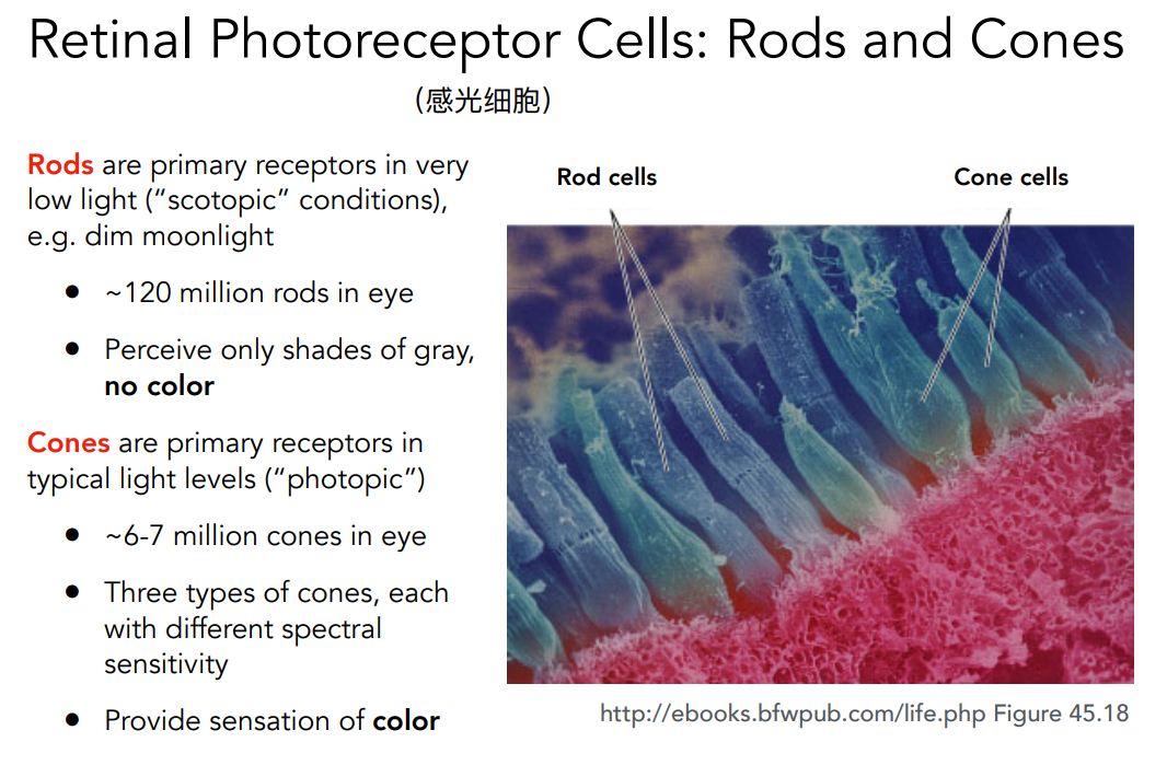 image-20221105224642985