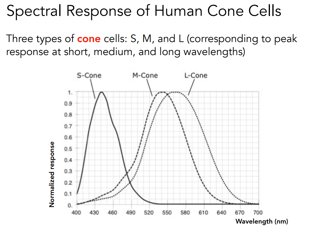 image-20221105224706685