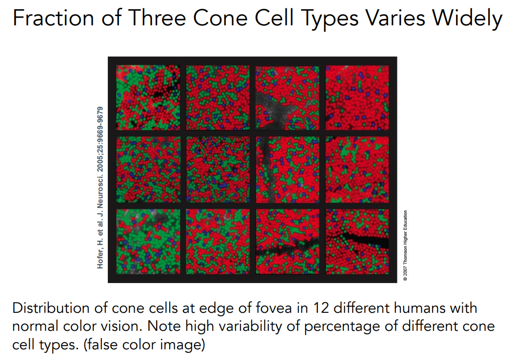 image-20221105224722239