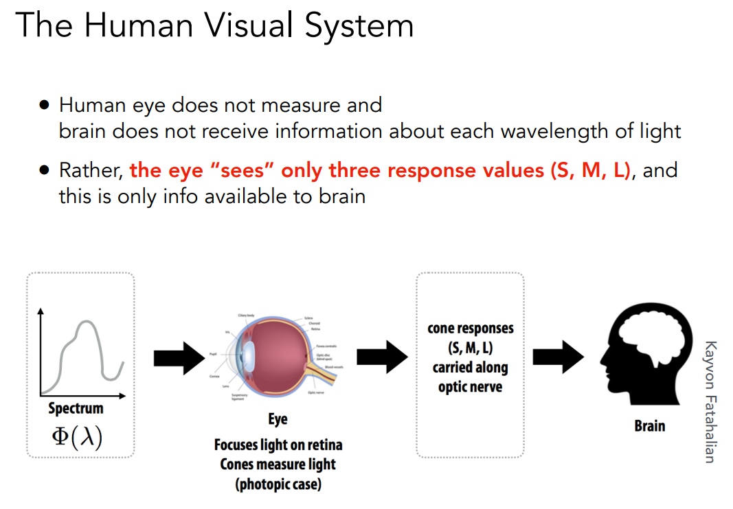 image-20221105224811346