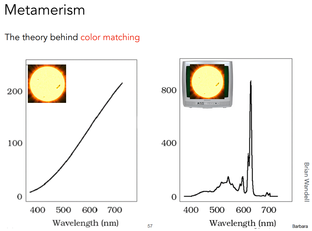 image-20221105224926585