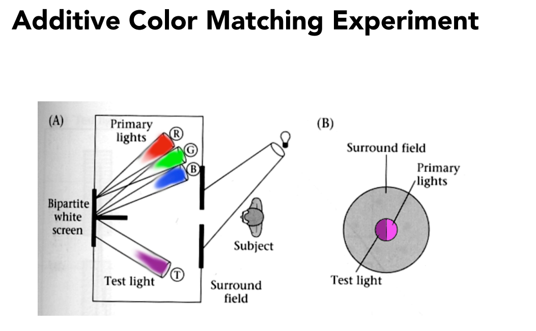 image-20221105225010980