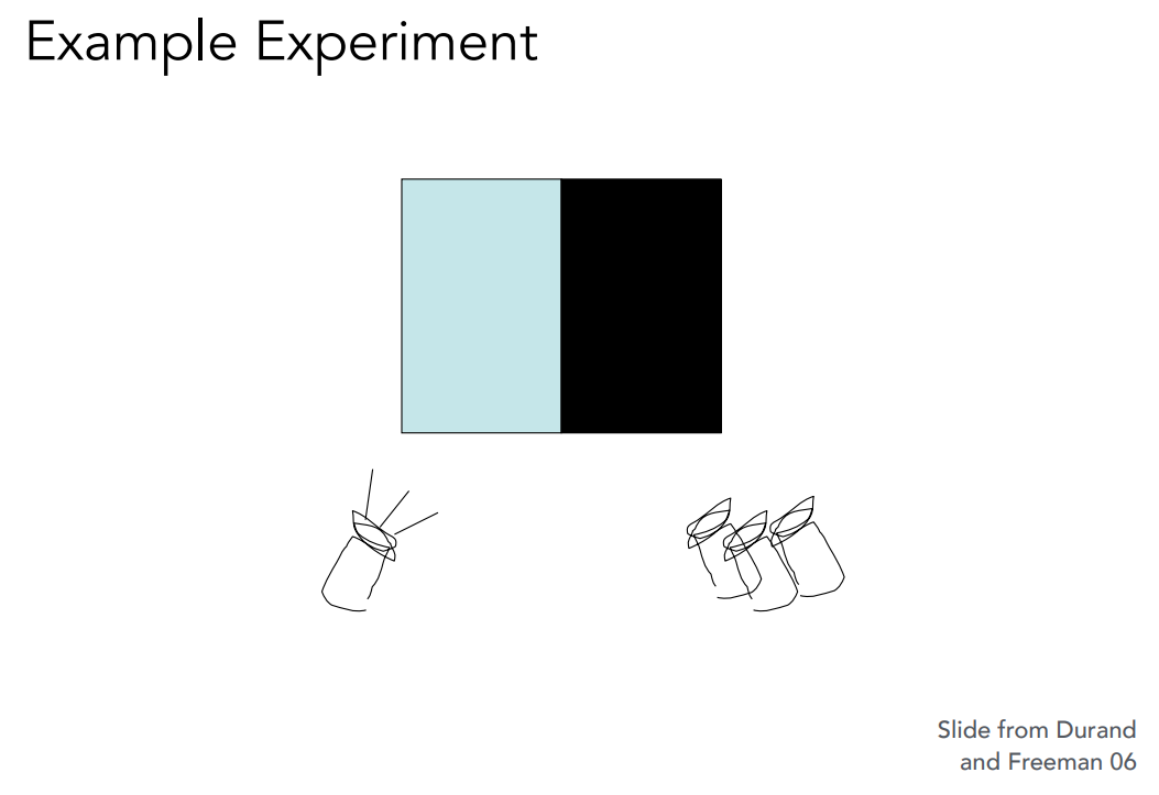 image-20221105225024216