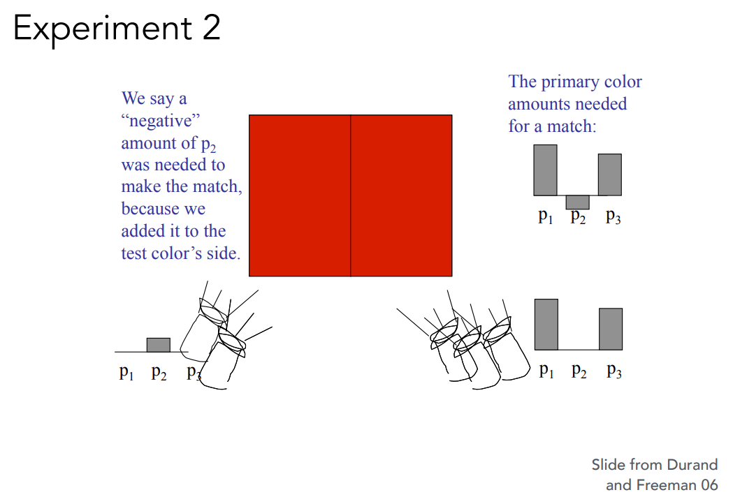 image-20221105225144236